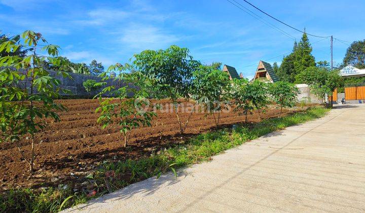 Tanah datar SHM di Cisarua puncak Bogor dekat wisata safari 2