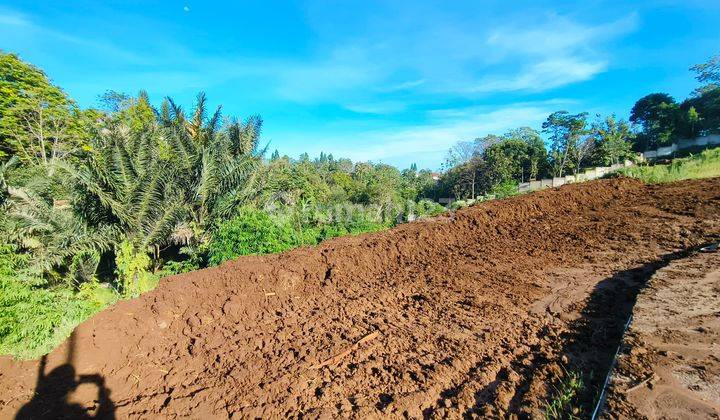 Tanah SHM di Megamendung puncak bogor jalan kabupaten  2