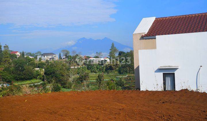 Tanah Murah di puncak bogor cocok untuk villa view alam 1