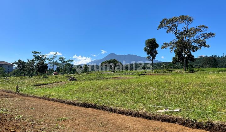 Tanah Akses Mudah Luas 540 M2 di Kopo Cisarua Puncak Tanah Akses Mudah Luas 540 M2 di Kopo Cisarua Puncak