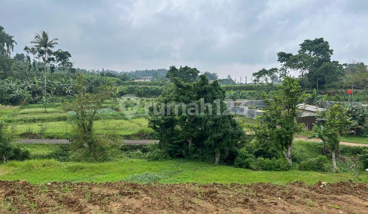 Tanah 500 Meter di Puncak Bogor Dekat Taman Safari