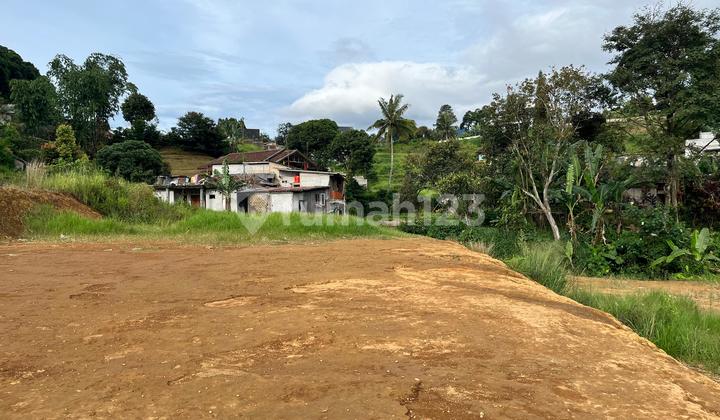 Tanah Milik Di Puncak Cisarua Bogor Akses Mobil