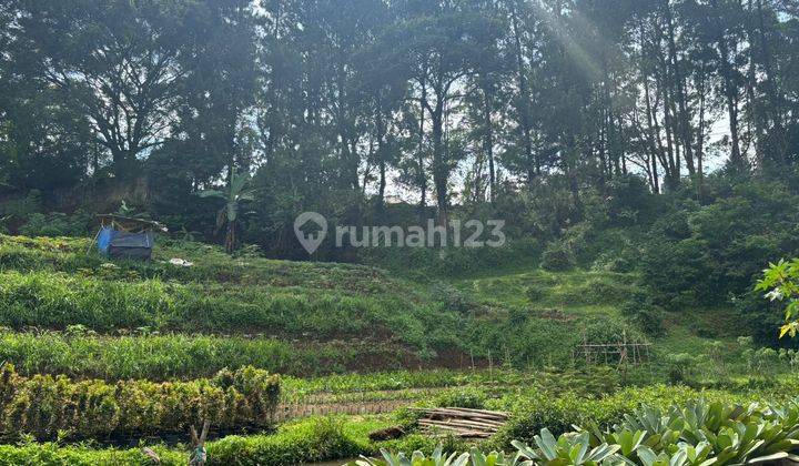 Tanah 500 m² SHM 3 Menit Ke Jakan Raya Puncak Bogor  2