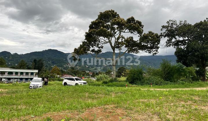 Tanah Di Puncak Bogor Dekat Wisata Cimory Tanah Di Puncak Bogor Dekat Wisata Cimory