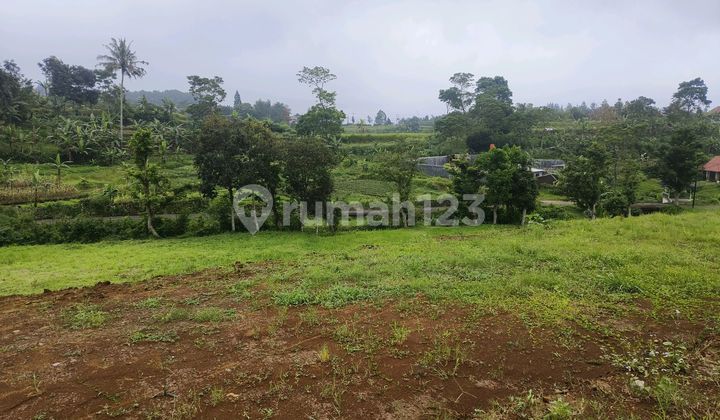 Tanah 1000 M2 Sertifikat Hak Milik Puncak Bogor Safari