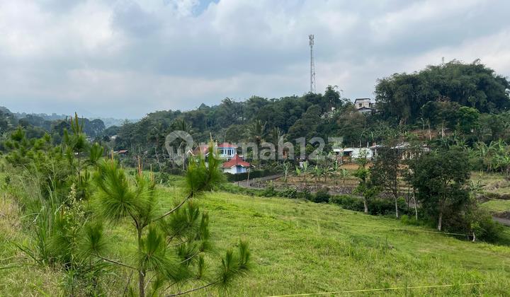 Tanah 400m2 Di Jual Di Puncak Bogor Akses Mudah