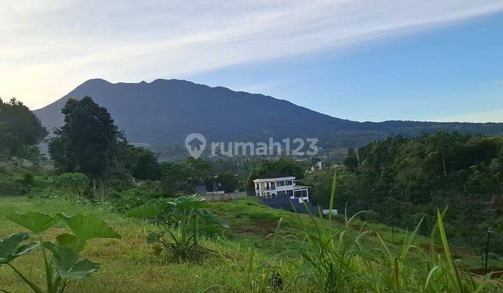 Tanah 674 M² Sertifikat Hak Milik Di Puncak Bogor 2