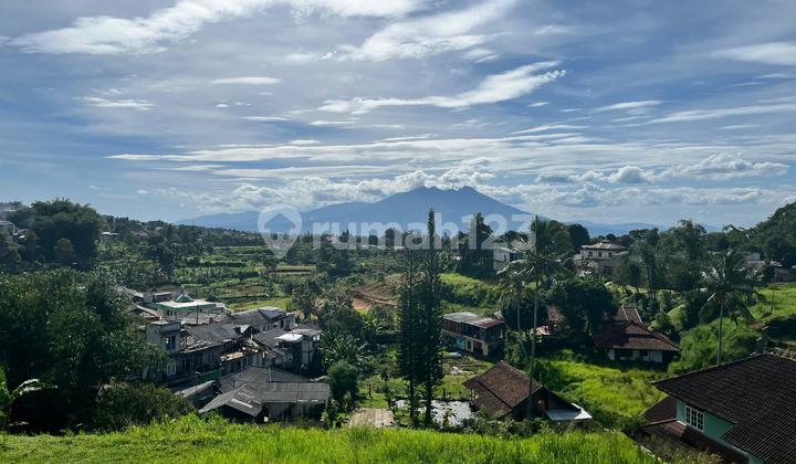 Tanah Dijual Di Puncak Bogor Luas 4500m2