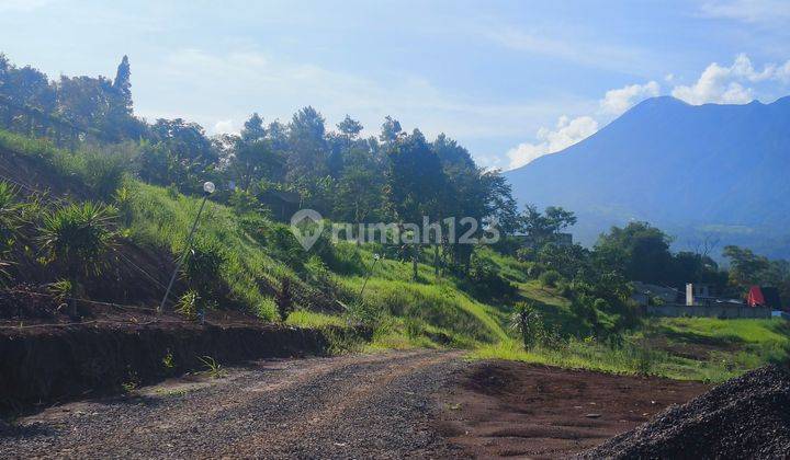 Tanah 685 m² SHM Di Megamendung Puncak Bogor 2