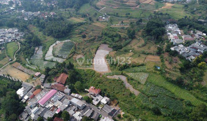 Tanah Jual BU 1,7 Hektar SHM Di Puncak Bogor Dekat Taman Safari 2