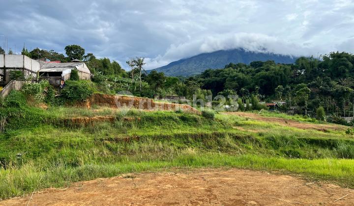 Tanah Milik Di Puncak Cisarua Bogor Akses Mobil Tanah Milik Di Puncak Cisarua Bogor Akses Mobil