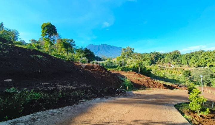 Tanah Murah Dekat Ke Jalan Raya Cocok Untuk Investasi 2