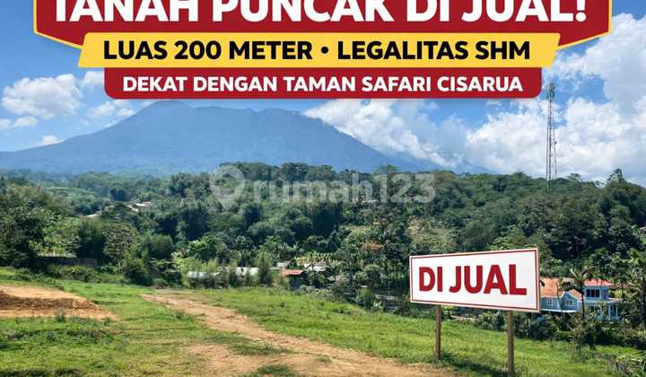 Land Near Taman Safari Puncak Bogor 200 Meters