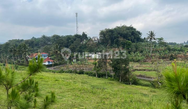 Tanah 400m2 Di Jual Di Puncak Bogor Akses Mudah