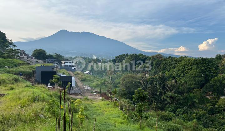Tanah Luas 2977m2 Di Puncak Bogor View Pangrango Tanah Luas 2977m2 Di Puncak Bogor View Pangrango