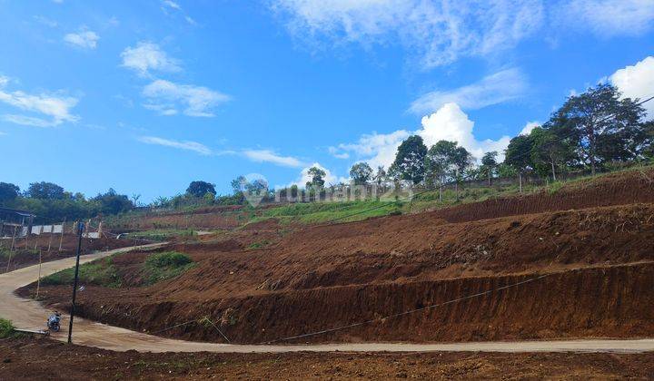 Tanah Sultan Warudoyong Megamendung Puncak Bogor 2