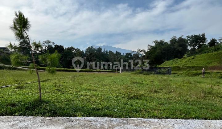 Tanah Cocok Untuk Rumah Singgah Di Puncak Bogor Tanah Cocok Untuk Rumah Singgah Di Puncak Bogor