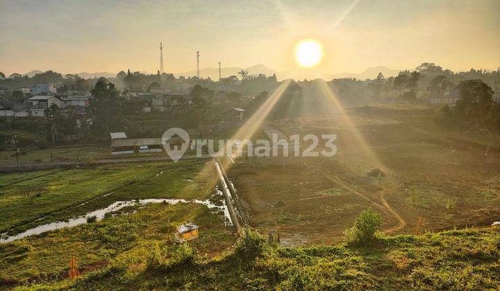 Tanah Kontur 1157 M2 View Bukit Dan Gunung Di Megamenfung Bogor