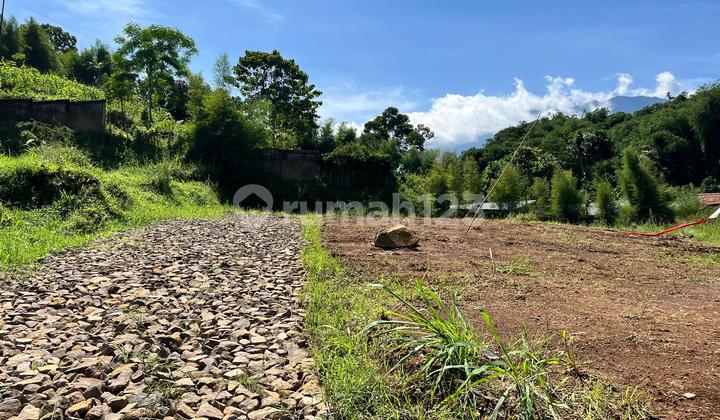 SHM Land in Puncak Bogor Area 600m2 Car Access SHM Land in Puncak Bogor Area 600m2 Car Access
