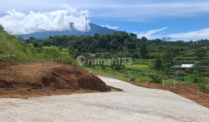 Tanah 712 SHM m² Nego Pemilik Lokasi Strategis Puncak Bogor 2