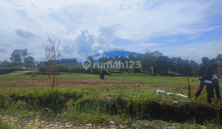 Tanah 295 m² SHM Strategis Siap Bangun Di Puncak 1