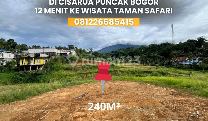 Tanah Shm Luas 240m2 Di Puncak Bogor Akses Mobil Tanah Shm Luas 240m2 Di Puncak Bogor Akses Mobil