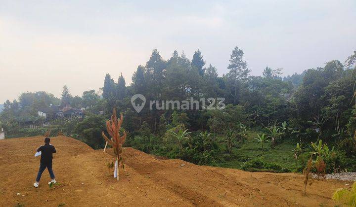 Tanah Murah Sumber Air Melimpah Di Puncak Bogor 1