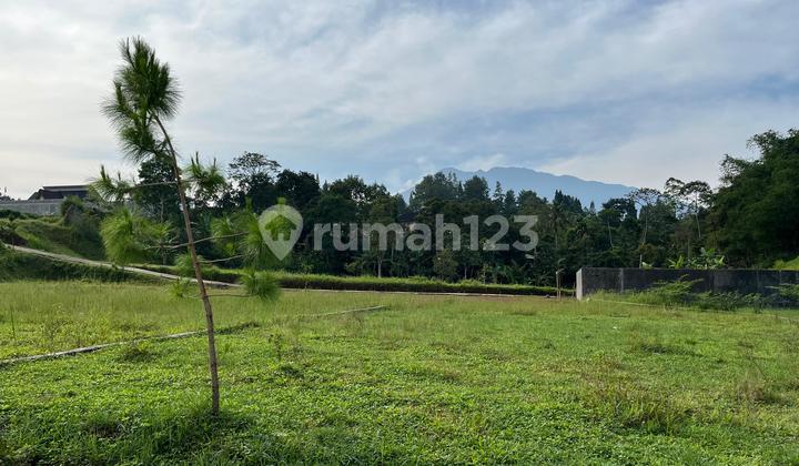 Tanah Luas 212m2 Di Megamendung Puncak Bogor Dekat Gadog Tanah Luas 212m2 Di Megamendung Puncak Bogor Dekat Gadog