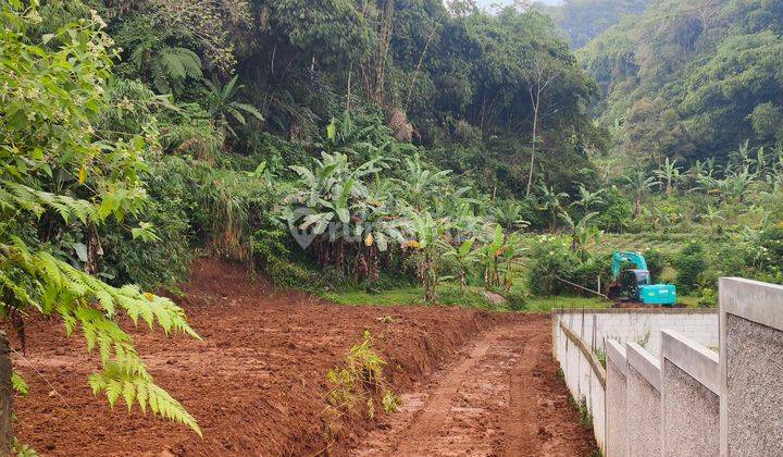 Tanah Murah Udara Sejuk Di Megamendung Puncak Bogor 500 m² 1