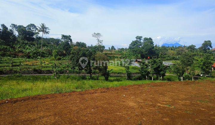 Tanah 500 m² SHM Nego Pemilik Di Puncak Bogor 1