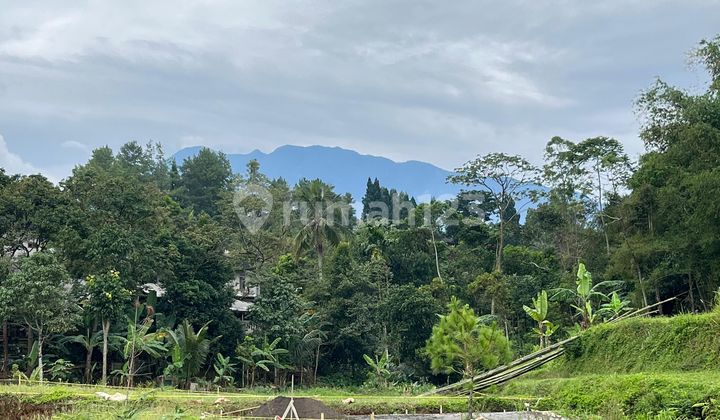 Tanah Dijual Cepat Luas 302m2 Di Puncak Megamendung Bogor