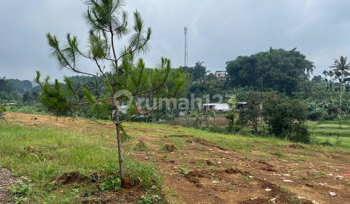 Tanah 500 Meter di Puncak Bogor Dekat Taman Safari