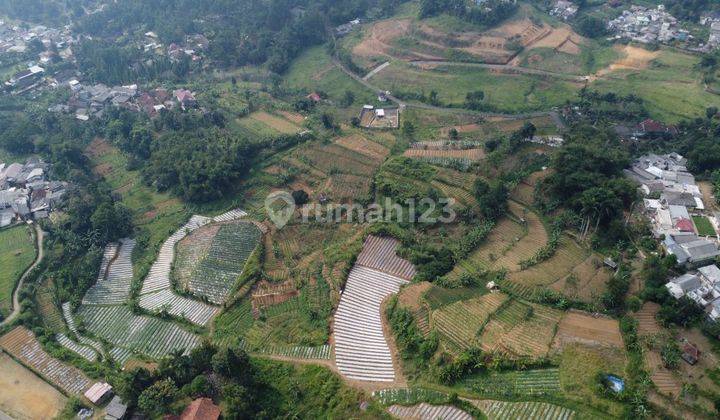 Tanah Jual BU 1,7 Hektar SHM Di Puncak Bogor Dekat Taman Safari 1