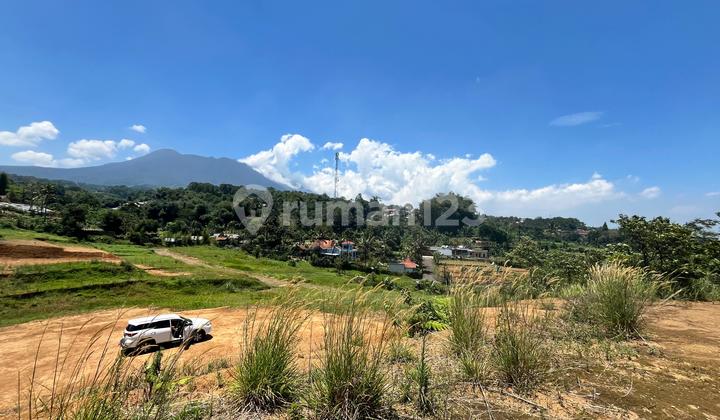 Tanah Dijual Di Puncak Bogor Dekat Taman Safari