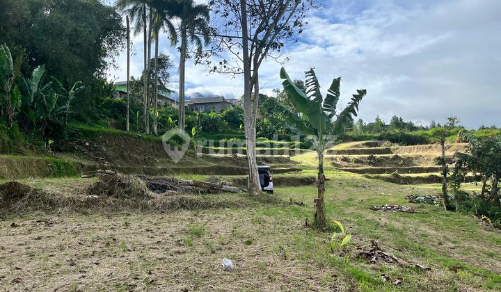 Tanah 1000 Meter SHM di Puncak Bogor Dekat Taman Safari