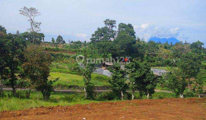 Tanah 500 m² SHM Nego Pemilik Di Puncak Bogor 2