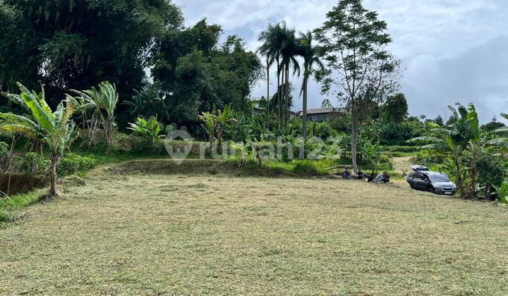 500 Meter Land in Cisaruapuncak Near Safari Park