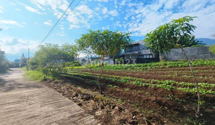 Tanah 285 M² Pinggir Jalan Alternatif Taman Safari Shm Puncak Bogor 1