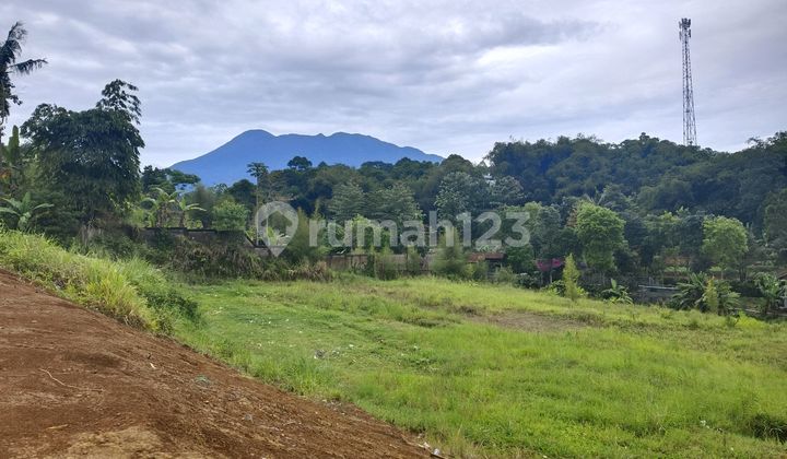 Tanah 1000 M2 Sertifikat Hak Milik Puncak Bogor Safari