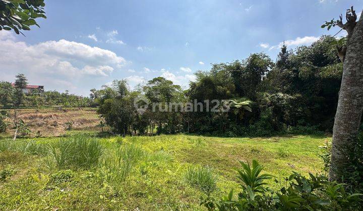 Tanah 844 m² SHM Dekat Ke Jalan Raya Puncak Bogor 2