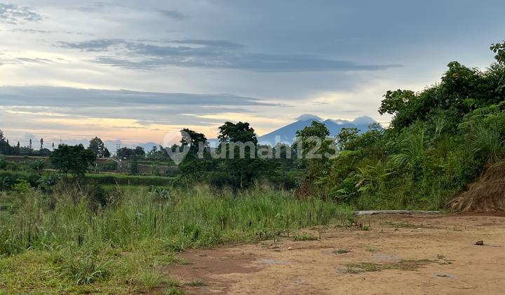 Tanah Luas 530 Meter di Puncak Dekat Taman Safari