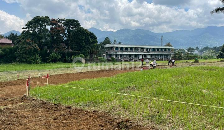 Land in Puncak Bogor, Area 195M2, Hill View Land in Puncak Bogor, Area 195M2, Hill View