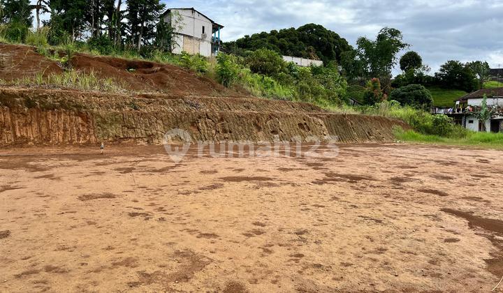 Tanah Di Cisarua Puncak Bogor Luas 120m2