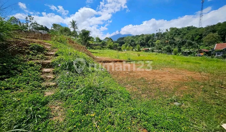 Tanah Di Puncak Bogor 950mdpl Luas 400m2 Di Hook