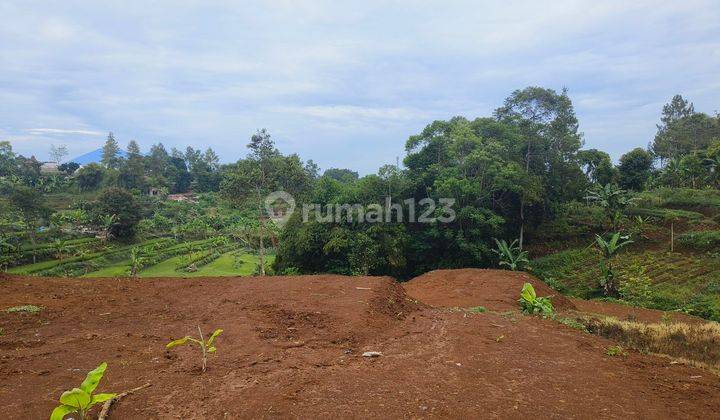 Tanah Luas 285 M² Shm Di Puncak Bogor Udara Dingin 2