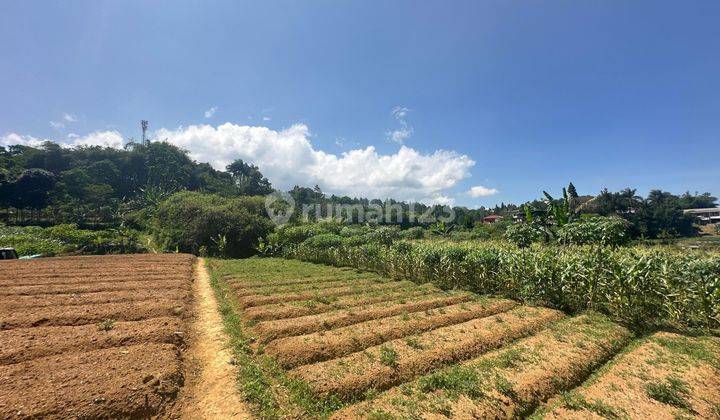 Tanah 1000 m² SHM Di Puncak Bogor Nego Pemilik 2