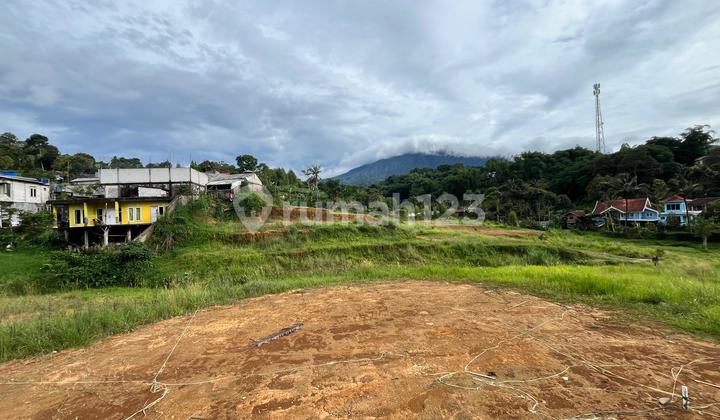 Tanah Stategis Dekat Taman Safari Puncak Bogor 
