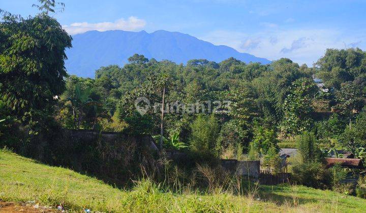 Tanah 500 m² SHM View Bagus Udara Sejuk Di Puncak Bogor 1