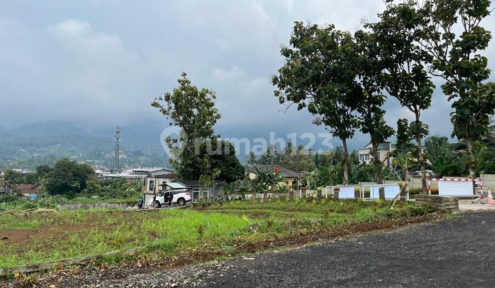 Tanah 1000 Meter di Puncak Bogor Dekat Jalan Raya Tanah 1000 Meter di Puncak Bogor Dekat Jalan Raya