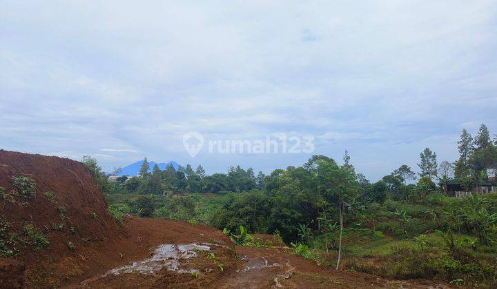 Tanah Luas 250 m² SHM Udara Dingin Di Puncak Bogor 2